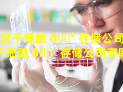 武汉干细胞 🌲 存储公司（武汉干细胞 🌷 存储公司有哪些）